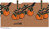 Citrus woodcut design